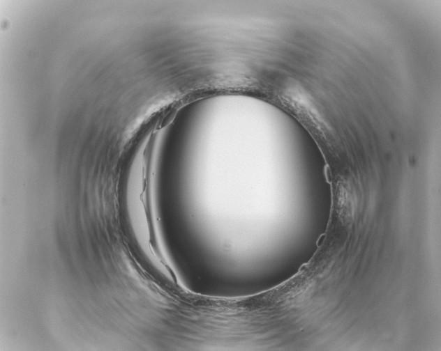 X0000086990684200704231845