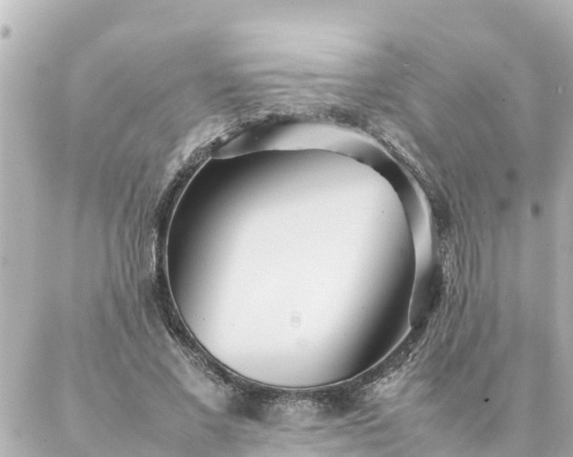 X0000086990685200704231845