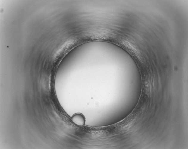 X0000086990686200704231845