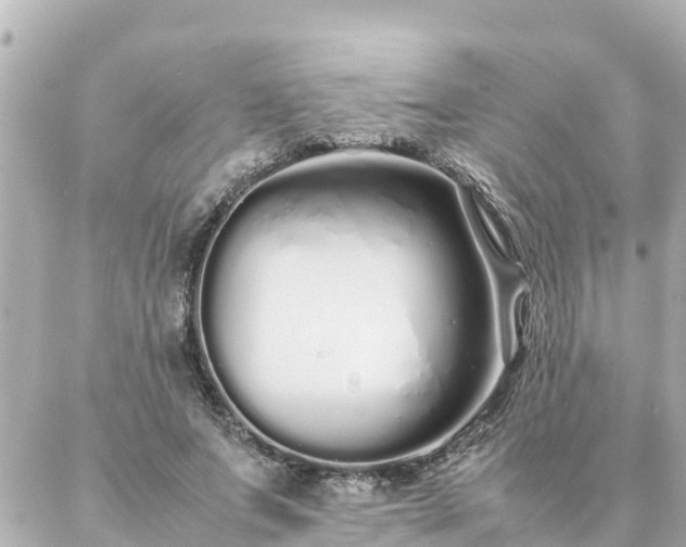 X0000086990687200704231845