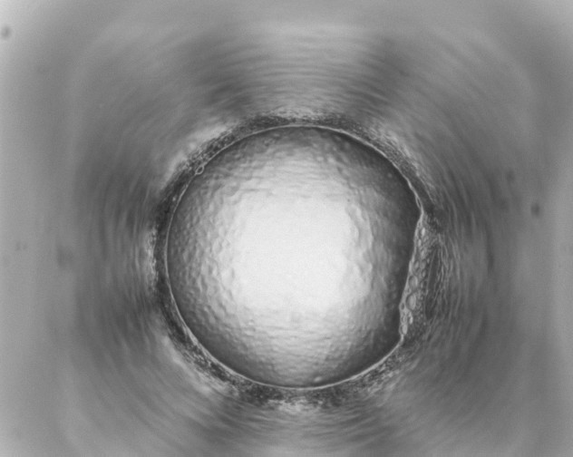 X0000086990688200704231845