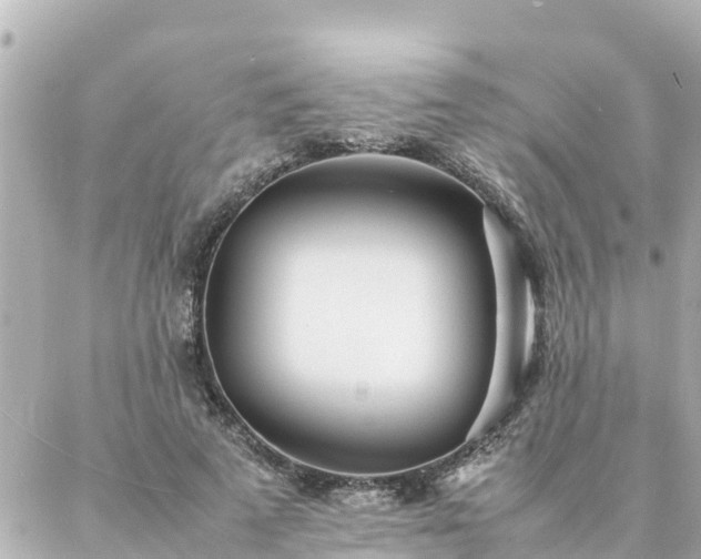 X0000086990689200704231845