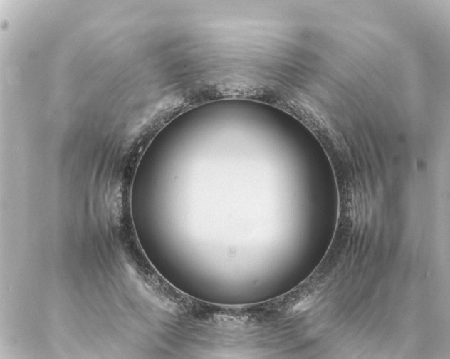 X0000086990690200704231845