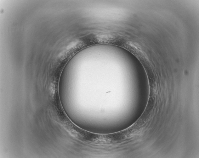 X0000086990691200704231845