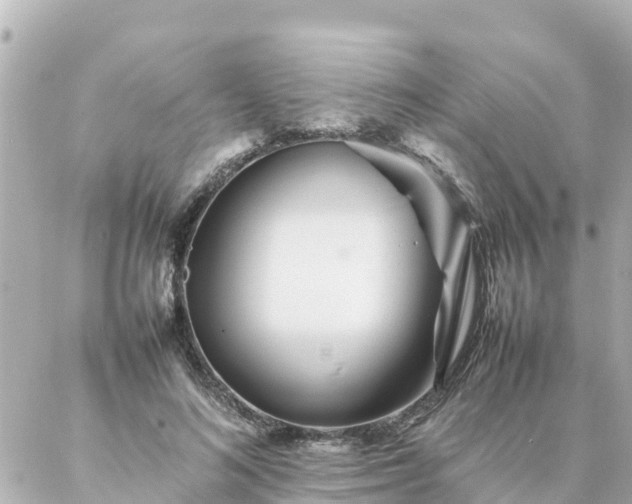 X0000086990692200704231845