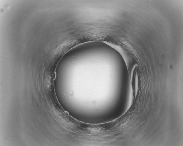 X0000086990693200704231845