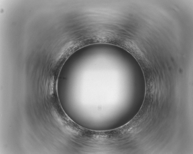 X0000086990694200704231845