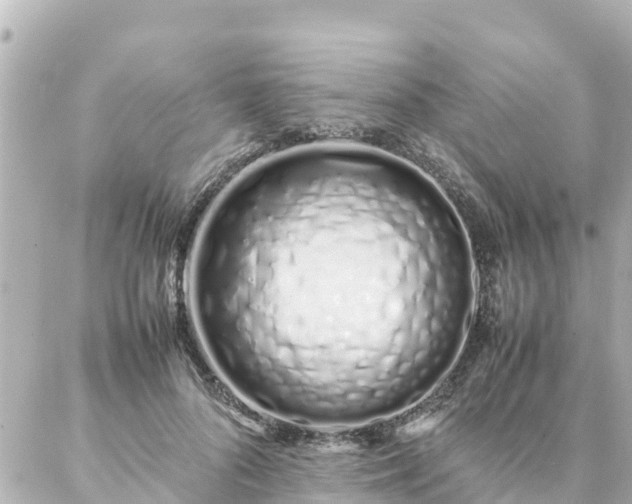 X0000086990696200704231845