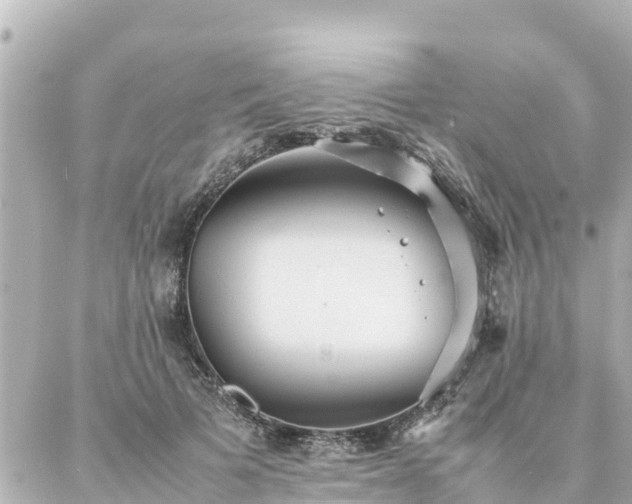 X0000086990697200704231845