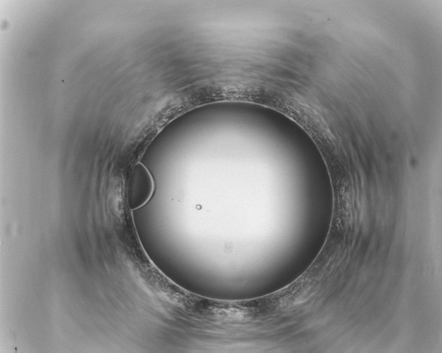 X0000086990698200704231845