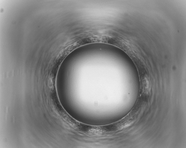 X0000086990699200704231845