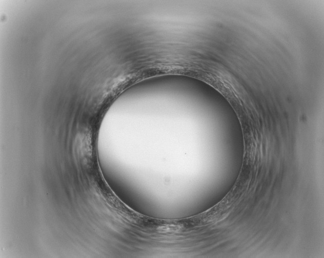 X0000086990700200704231845