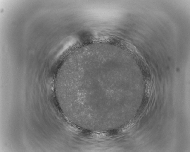 X0000086990701200704231845