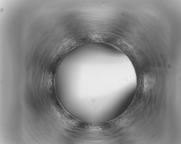 X0000086990702200704231845