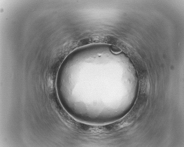 X0000086990703200704231845