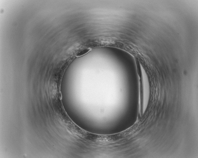 X0000086990704200704231845