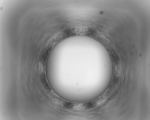 X0000086990705200704231845