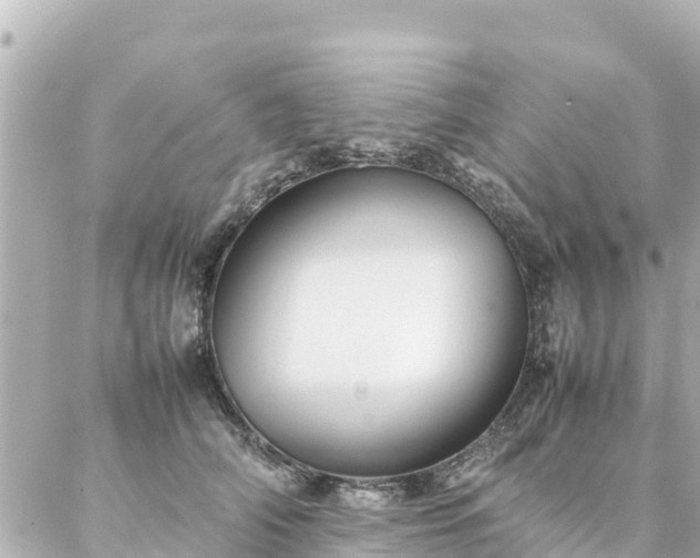 X0000086990706200704231845