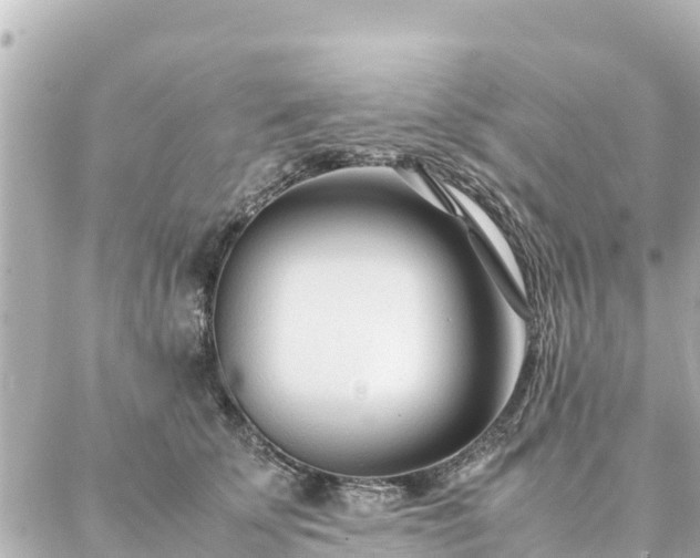 X0000086990707200704231845