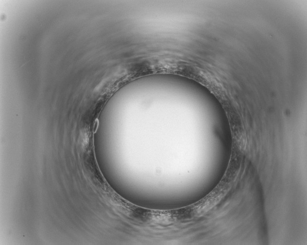 X0000086990709200704231845