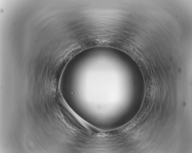 X0000086990710200704231845