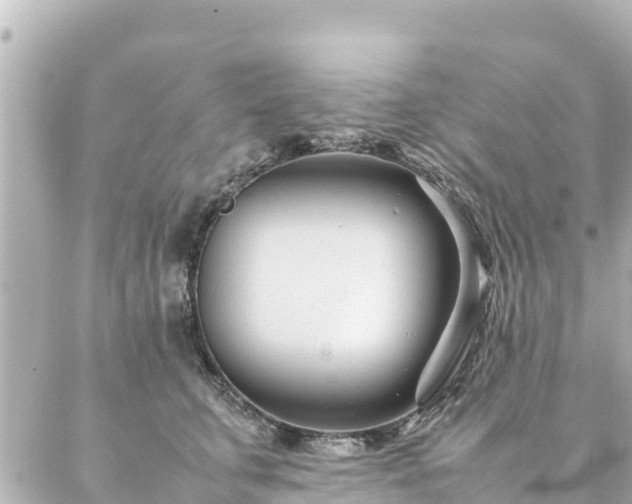 X0000086990711200704231845