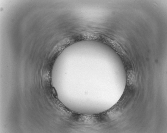 X0000086990713200704231845