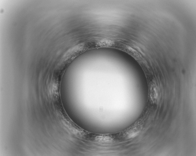 X0000086990714200704231845