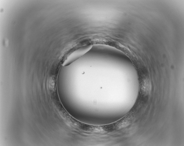 X0000086990715200704231845