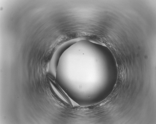 X0000086990716200704231845