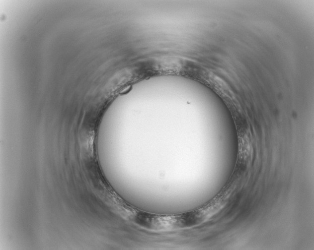 X0000086990717200704231845