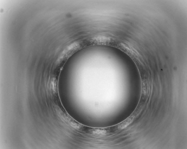 X0000086990718200704231845