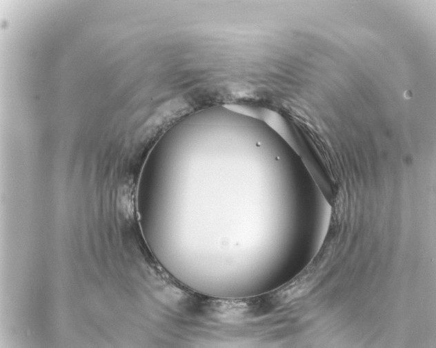 X0000086990719200704231845