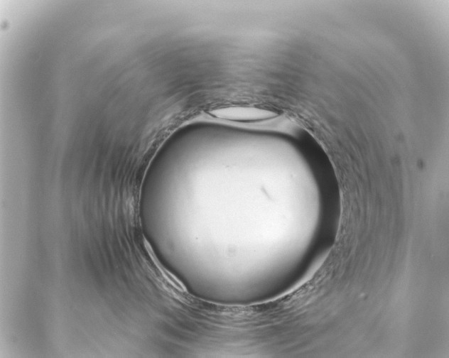 X0000086990720200704231845