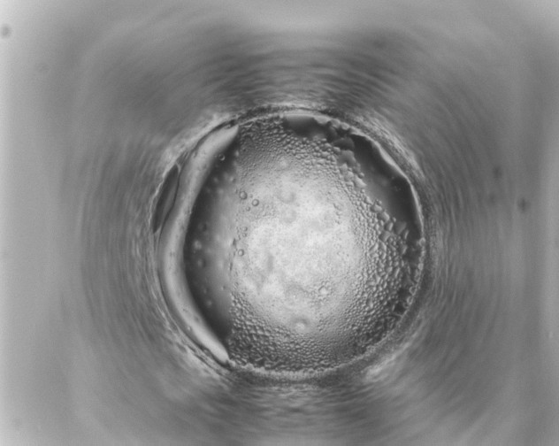 X0000086990721200704231844