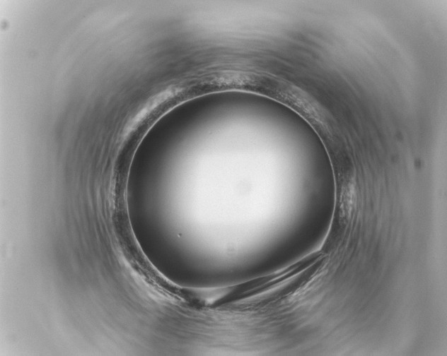 X0000086990722200704231844