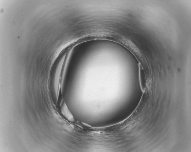 X0000086990724200704231844