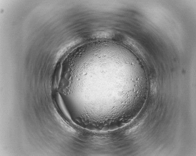 X0000086990725200704231844