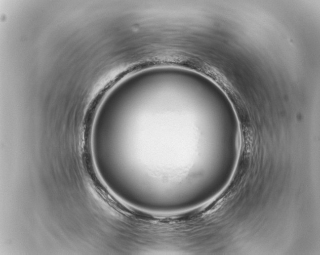 X0000086990726200704231844