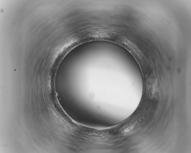 X0000086990727200704231844