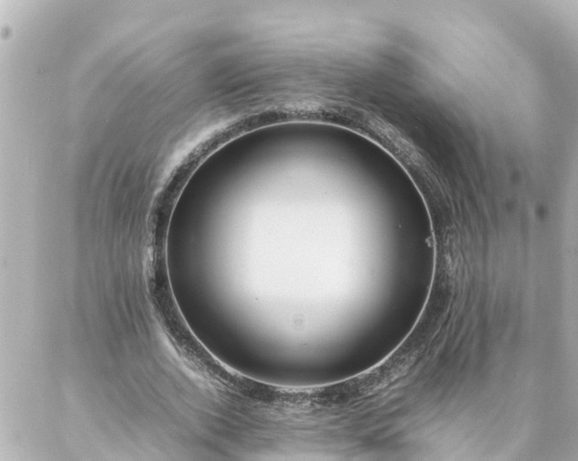 X0000086990728200704231844