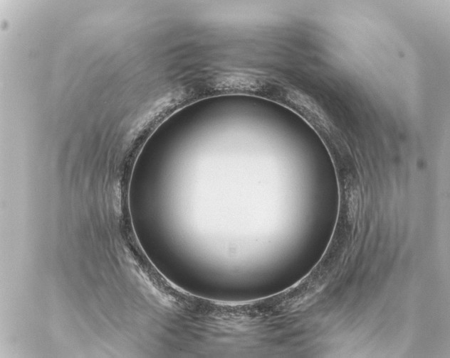 X0000086990729200704231844