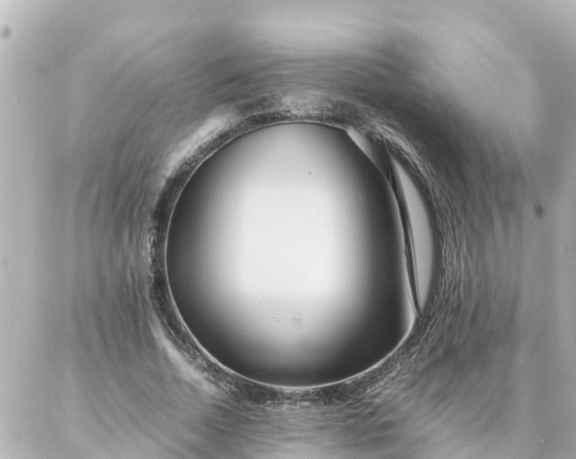 X0000086990730200704231844