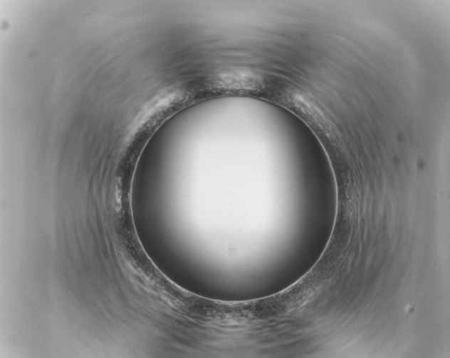 X0000086990731200704231844