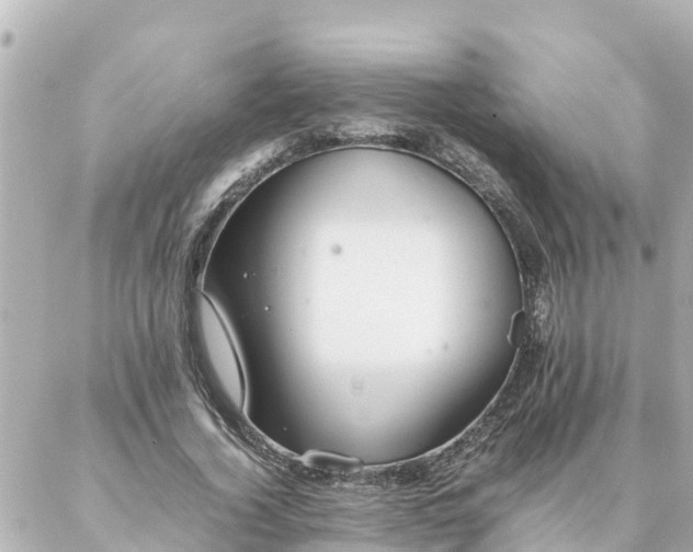 X0000086990732200704231844