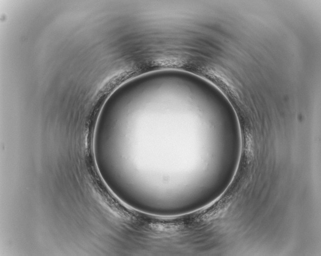 X0000086990733200704231844