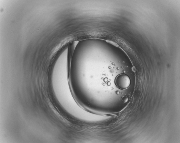 X0000086990734200704231844