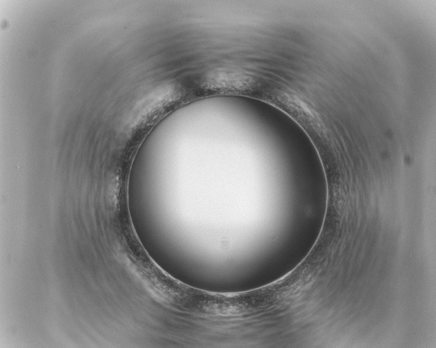 X0000086990735200704231844