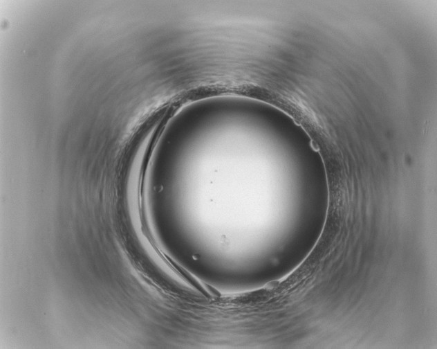 X0000086990736200704231844