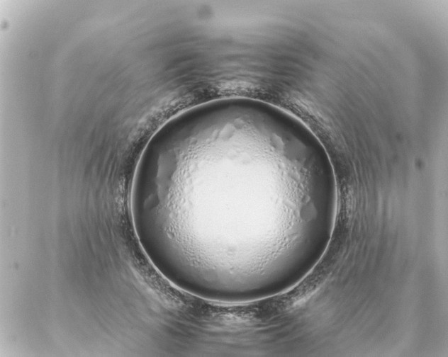 X0000086990737200704231844